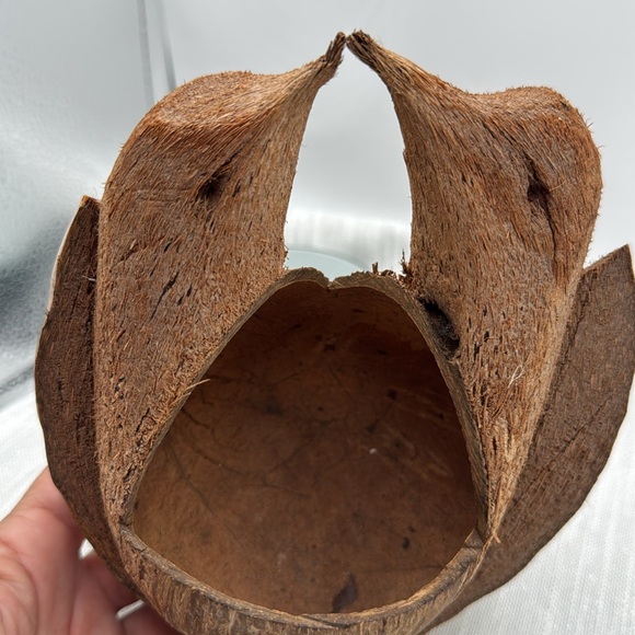 Coconut Shell hand carved love birds Planter or birdfeeder made from a coconut - Picture 2 of 5